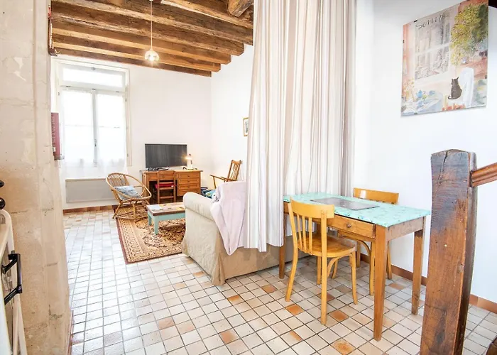 Apartment L'authentique - Tours